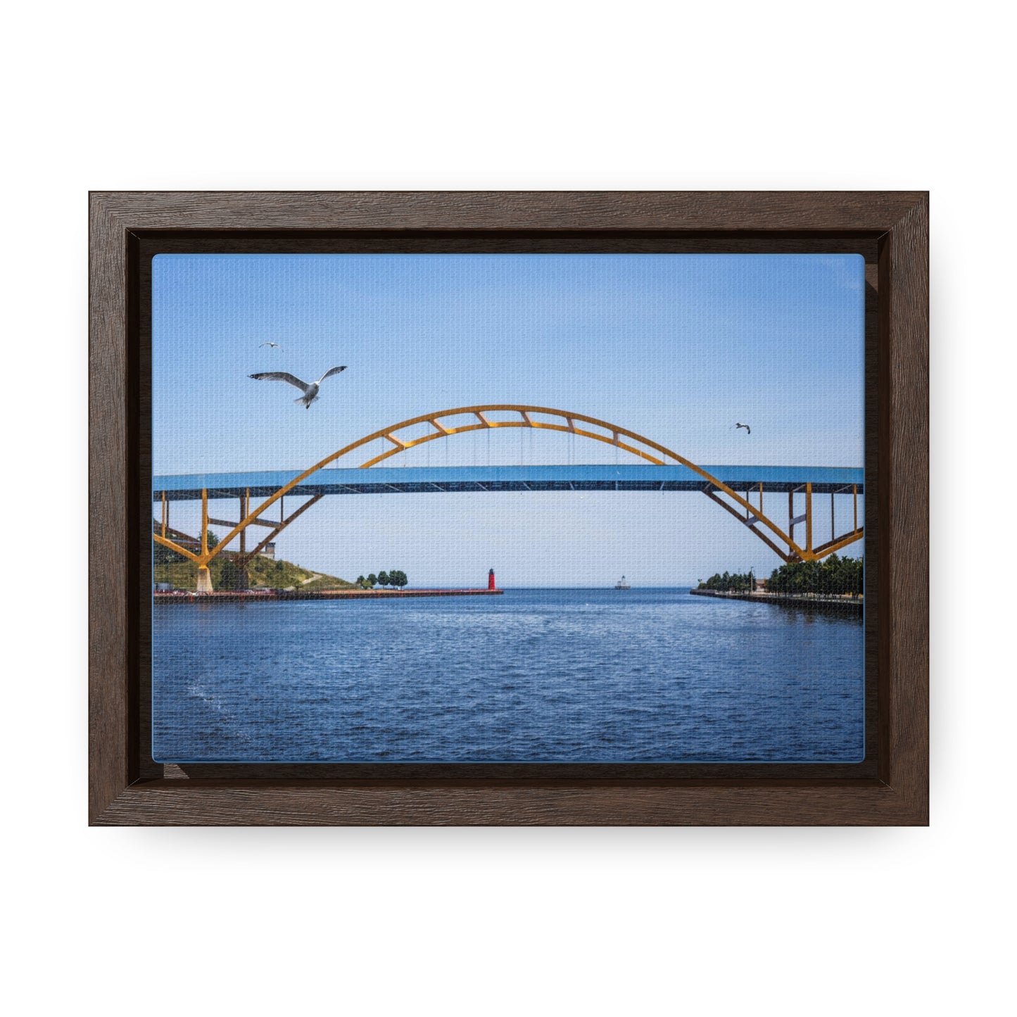 Milwaukee, Wisconsin's Hoan Bridge et mouettes, photographie encadrée sur toile