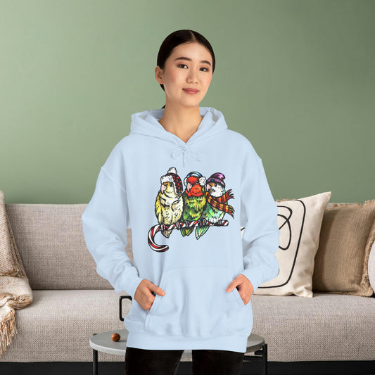 3 tourtereaux avec vêtements d’hiver et perchés sur une canne en bonbon, sweat-shirt à capuche