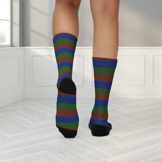 Sapiosexual Pride Socks
