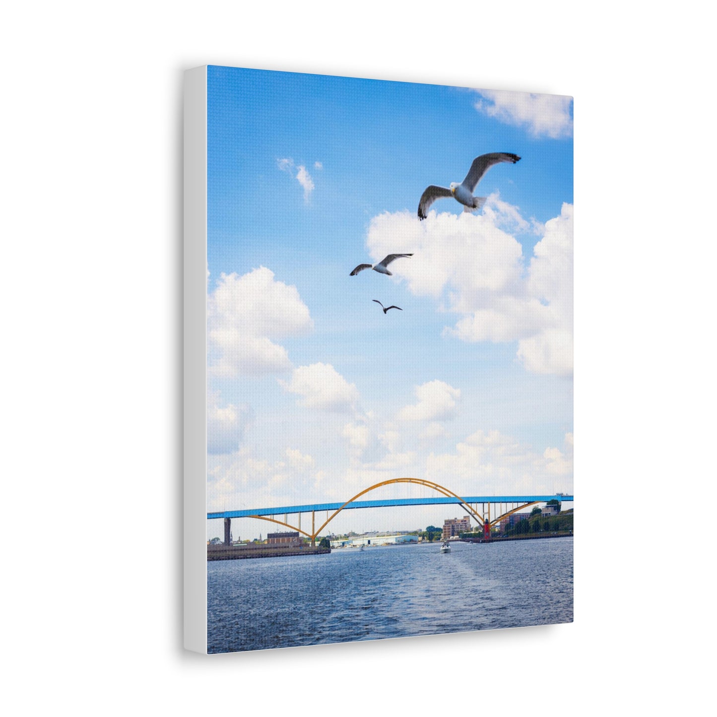 Puente Hoan de Milwaukee Wisconsin con 3 gaviotas, fotografía lienzo envoltura arte de pared