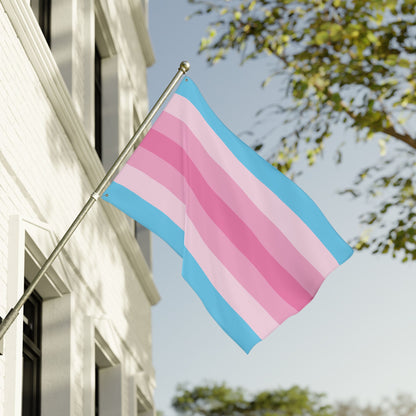 36'' × 60'' Transfeminine Pride Flag with Grommets