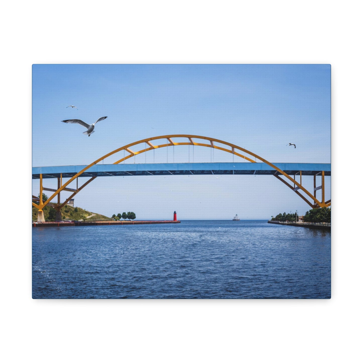 Milwaukee, Wisconsin's Hoan Bridge et mouettes, photographie sur toile, art mural