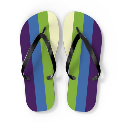 Aplatonic Pride Flip Flops