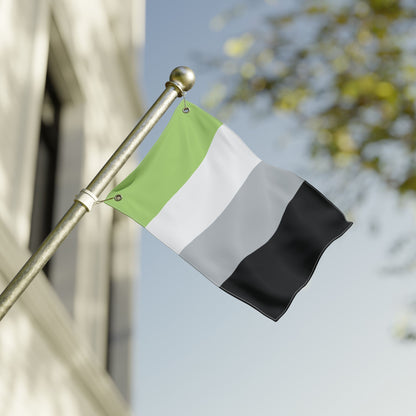 12'' × 18'' Agenrine Pride Flag with Grommets