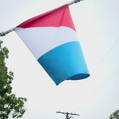 AMC American Motors Logo Flag
